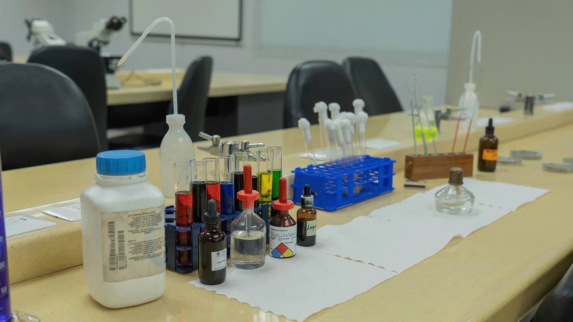 Galer&iacute;a imagen 3